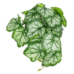 glo-20947-20947_4 GLOBOSTAR® ARTIFICIAL GARDEN WHITE BEGONIA PLANT 20947 ΔΙΑΚΟΣΜΗΤΙΚΟ ΦΥΤΟ ΛΕΥΚΗ ΜΠΙΓΟΝΙΑ Φ2