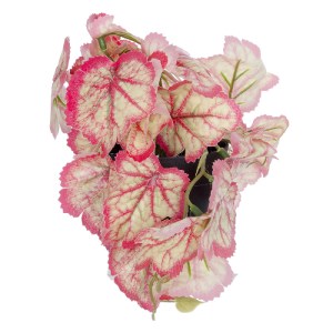 glo-20948-20948_4 GLOBOSTAR® ARTIFICIAL GARDEN RED BEGONIA PLANT 20948 ΔΙΑΚΟΣΜΗΤΙΚΟ ΦΥΤΟ ΚΟΚΚΙΝΗ ΜΠΙΓΟΝΙΑ Φ2