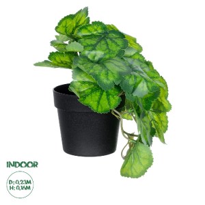 glo-20949-20949_0 GLOBOSTAR® ARTIFICIAL GARDEN GREEN BEGONIA PLANT 20949 ΔΙΑΚΟΣΜΗΤΙΚΟ ΦΥΤΟ ΠΡΑΣΙΝΗ ΜΠΙΓΟΝΙΑ 