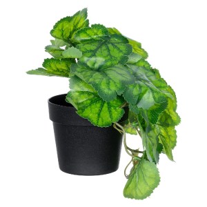 glo-20949-20949_2 GLOBOSTAR® ARTIFICIAL GARDEN GREEN BEGONIA PLANT 20949 ΔΙΑΚΟΣΜΗΤΙΚΟ ΦΥΤΟ ΠΡΑΣΙΝΗ ΜΠΙΓΟΝΙΑ 