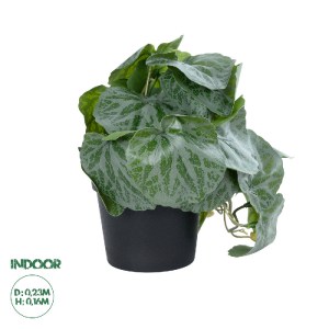 glo-20950-20950_0 GLOBOSTAR® ARTIFICIAL GARDEN STRAWBERRY PLANT 20950 ΔΙΑΚΟΣΜΗΤΙΚΟ ΦΥΤΟ ΦΡΑΟΥΛΙΑ Φ23 X Υ16CM