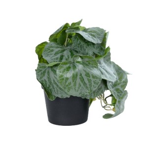 glo-20950-20950_2 GLOBOSTAR® ARTIFICIAL GARDEN STRAWBERRY PLANT 20950 ΔΙΑΚΟΣΜΗΤΙΚΟ ΦΥΤΟ ΦΡΑΟΥΛΙΑ Φ23 X Υ16CM