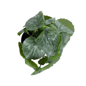 glo-20950-20950_3 GLOBOSTAR® ARTIFICIAL GARDEN STRAWBERRY PLANT 20950 ΔΙΑΚΟΣΜΗΤΙΚΟ ΦΥΤΟ ΦΡΑΟΥΛΙΑ Φ23 X Υ16CM