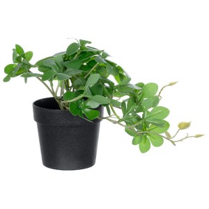 glo-20954-20954_2 GLOBOSTAR® ARTIFICIAL GARDEN SCHEFFLERA PLANT 20954 ΔΙΑΚΟΣΜΗΤΙΚΟ ΦΥΤΟ ΣΕΦΛΕΡΑ Φ18 X Υ17CM