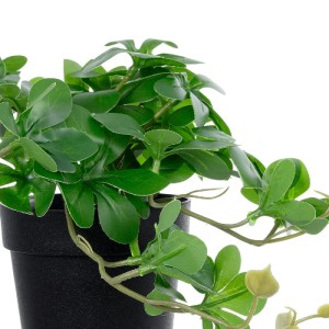 glo-20954-20954_3 GLOBOSTAR® ARTIFICIAL GARDEN SCHEFFLERA PLANT 20954 ΔΙΑΚΟΣΜΗΤΙΚΟ ΦΥΤΟ ΣΕΦΛΕΡΑ Φ18 X Υ17CM