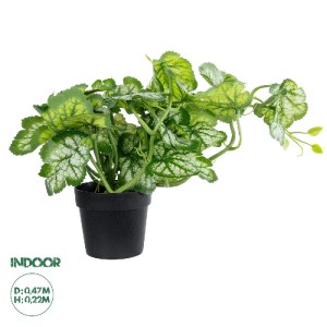 glo-20958-20958_0 GLOBOSTAR® ARTIFICIAL GARDEN BEGONIA PLANT 20958 ΔΙΑΚΟΣΜΗΤΙΚΟ ΦΥΤΟ ΒΙΓΟΝΙΑ Φ47 X Υ22CM