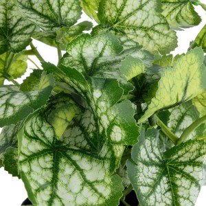 glo-20958-20958_3 GLOBOSTAR® ARTIFICIAL GARDEN BEGONIA PLANT 20958 ΔΙΑΚΟΣΜΗΤΙΚΟ ΦΥΤΟ ΒΙΓΟΝΙΑ Φ47 X Υ22CM