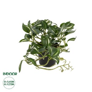 glo-20960-20960_0.webp GLOBOSTAR® ARTIFICIAL GARDEN ZEBRINA PLANT 20960 ΔΙΑΚΟΣΜΗΤΙΚΟ ΦΥΤΟ ΖΕΜΠΡΙΝΑ Φ45 X Υ22CM