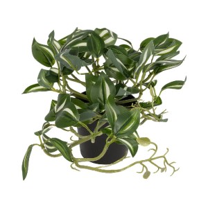 glo-20960-20960_2.webp GLOBOSTAR® ARTIFICIAL GARDEN ZEBRINA PLANT 20960 ΔΙΑΚΟΣΜΗΤΙΚΟ ΦΥΤΟ ΖΕΜΠΡΙΝΑ Φ45 X Υ22CM