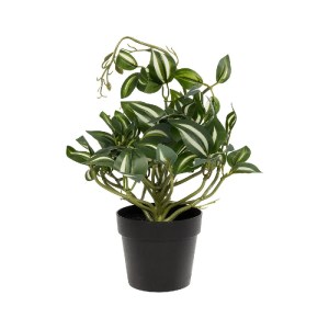 glo-20960-20960_3.webp GLOBOSTAR® ARTIFICIAL GARDEN ZEBRINA PLANT 20960 ΔΙΑΚΟΣΜΗΤΙΚΟ ΦΥΤΟ ΖΕΜΠΡΙΝΑ Φ45 X Υ22CM