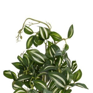 glo-20960-20960_4.webp GLOBOSTAR® ARTIFICIAL GARDEN ZEBRINA PLANT 20960 ΔΙΑΚΟΣΜΗΤΙΚΟ ΦΥΤΟ ΖΕΜΠΡΙΝΑ Φ45 X Υ22CM