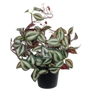 glo-20961-20961_2 GLOBOSTAR® ARTIFICIAL GARDEN ZEBRINA PLANT 20961 ΔΙΑΚΟΣΜΗΤΙΚΟ ΦΥΤΟ ΖΕΜΠΡΙΝΑ Φ45 X Υ22CM