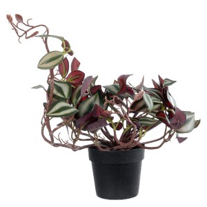 glo-20961-20961_4 GLOBOSTAR® ARTIFICIAL GARDEN ZEBRINA PLANT 20961 ΔΙΑΚΟΣΜΗΤΙΚΟ ΦΥΤΟ ΖΕΜΠΡΙΝΑ Φ45 X Υ22CM