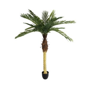 glo-20968-20968_2 GLOBOSTAR® ARTIFICIAL GARDEN PHOENIX PALM TREE 20968 ΤΕΧΝΗΤΟ ΔΙΑΚΟΣΜΗΤΙΚΟ ΦΥΤΟ ΦΟΙΝΙΚΑΣ Φ1