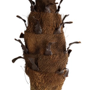 glo-20968-20968_4 GLOBOSTAR® ARTIFICIAL GARDEN PHOENIX PALM TREE 20968 ΤΕΧΝΗΤΟ ΔΙΑΚΟΣΜΗΤΙΚΟ ΦΥΤΟ ΦΟΙΝΙΚΑΣ Φ1