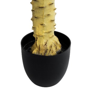 glo-20968-20968_6 GLOBOSTAR® ARTIFICIAL GARDEN PHOENIX PALM TREE 20968 ΤΕΧΝΗΤΟ ΔΙΑΚΟΣΜΗΤΙΚΟ ΦΥΤΟ ΦΟΙΝΙΚΑΣ Φ1