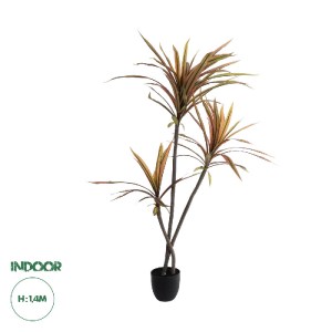 glo-20969-20969_0_ GLOBOSTAR® ARTIFICIAL GARDEN DRAGON BLOOD TREE 20969 - ΤΕΧΝΗΤΟ ΔΙΑΚΟΣΜΗΤΙΚΟ ΦΥΤΟ ΔΡΑΚΑΙΝΑ 