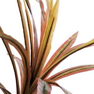 glo-20969-20969_3 GLOBOSTAR® ARTIFICIAL GARDEN DRAGON BLOOD TREE 20969 - ΤΕΧΝΗΤΟ ΔΙΑΚΟΣΜΗΤΙΚΟ ΦΥΤΟ ΔΡΑΚΑΙΝΑ 