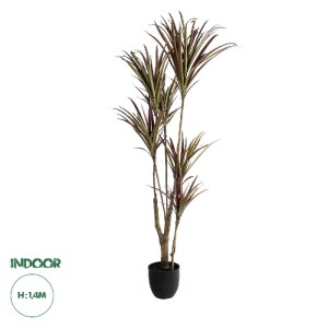 glo-20970-20970_0_ GLOBOSTAR® ARTIFICIAL GARDEN DRAGON BLOOD TREE 20970 - ΤΕΧΝΗΤΟ ΔΙΑΚΟΣΜΗΤΙΚΟ ΦΥΤΟ ΔΡΑΚΑΙΝΑ 