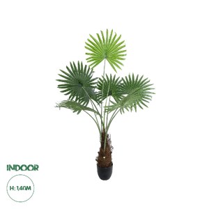 glo-20971-20971_0 GLOBOSTAR® ARTIFICIAL GARDEN SERENOA PALM PLANT 20971 ΔΙΑΚΟΣΜΗΤΙΚΟ ΦΥΤΟ ΦΟΙΝΙΚΑ ΣΕΡΕΝΟΑ Φ6