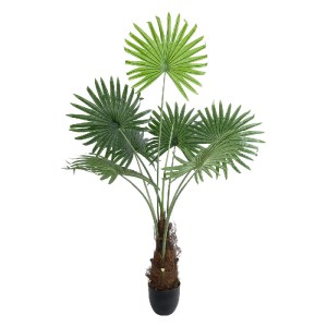 glo-20971-20971_2 GLOBOSTAR® ARTIFICIAL GARDEN SERENOA PALM PLANT 20971 ΔΙΑΚΟΣΜΗΤΙΚΟ ΦΥΤΟ ΦΟΙΝΙΚΑ ΣΕΡΕΝΟΑ Φ6