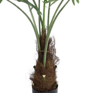 glo-20971-20971_3 GLOBOSTAR® ARTIFICIAL GARDEN SERENOA PALM PLANT 20971 ΔΙΑΚΟΣΜΗΤΙΚΟ ΦΥΤΟ ΦΟΙΝΙΚΑ ΣΕΡΕΝΟΑ Φ6