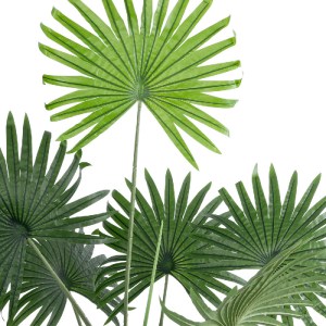 glo-20971-20971_4 GLOBOSTAR® ARTIFICIAL GARDEN SERENOA PALM PLANT 20971 ΔΙΑΚΟΣΜΗΤΙΚΟ ΦΥΤΟ ΦΟΙΝΙΚΑ ΣΕΡΕΝΟΑ Φ6