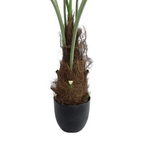 glo-20971-20971_5 GLOBOSTAR® ARTIFICIAL GARDEN SERENOA PALM PLANT 20971 ΔΙΑΚΟΣΜΗΤΙΚΟ ΦΥΤΟ ΦΟΙΝΙΚΑ ΣΕΡΕΝΟΑ Φ6