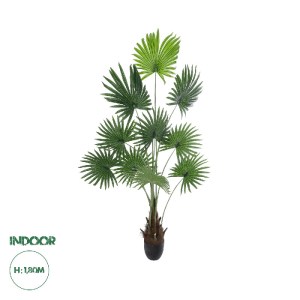 glo-20972-20972_0 GLOBOSTAR® ARTIFICIAL GARDEN SERENOA PALM PLANT 20972 ΔΙΑΚΟΣΜΗΤΙΚΟ ΦΥΤΟ ΦΟΙΝΙΚΑ ΣΕΡΕΝΟΑ Φ1
