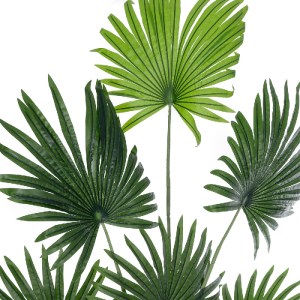 glo-20972-20972_3 GLOBOSTAR® ARTIFICIAL GARDEN SERENOA PALM PLANT 20972 ΔΙΑΚΟΣΜΗΤΙΚΟ ΦΥΤΟ ΦΟΙΝΙΚΑ ΣΕΡΕΝΟΑ Φ1
