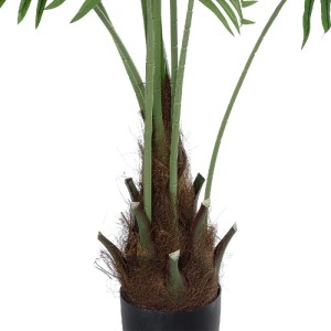 glo-20972-20972_4 GLOBOSTAR® ARTIFICIAL GARDEN SERENOA PALM PLANT 20972 ΔΙΑΚΟΣΜΗΤΙΚΟ ΦΥΤΟ ΦΟΙΝΙΚΑ ΣΕΡΕΝΟΑ Φ1