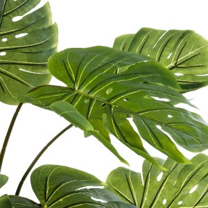 glo-20973-20973_3 GLOBOSTAR® ARTIFICIAL GARDEN MONSTERA 20973 - ΤΕΧΝΗΤΟ ΔΙΑΚΟΣΜΗΤΙΚΟ ΦΥΤΟ ΜΟΝΣΤΕΡΑ Φ120 X Υ1