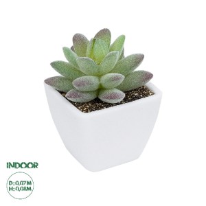 glo-20975-20975_0 GLOBOSTAR® ARTIFICIAL GARDEN  SUCCULENT SEDEVERIA POTTED PLANT 20975 ΔΙΑΚΟΣΜΗΤΙΚΟ ΦΥΤΟ ΦΟΙ