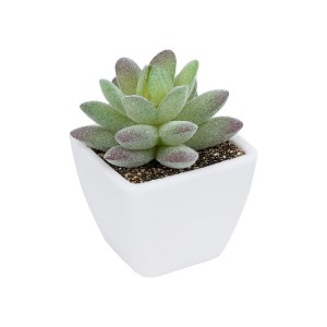 glo-20975-20975_2 GLOBOSTAR® ARTIFICIAL GARDEN  SUCCULENT SEDEVERIA POTTED PLANT 20975 ΔΙΑΚΟΣΜΗΤΙΚΟ ΦΥΤΟ ΦΟΙ