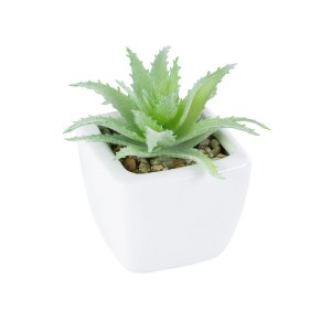 glo-20976-20976_2 GLOBOSTAR® ARTIFICIAL GARDEN SUCCULENT ALOE LOTUS PLANT 20976 ΔΙΑΚΟΣΜΗΤΙΚΟ ΦΥΤΟ ΠΑΧΥΦΥΤΟ Λ