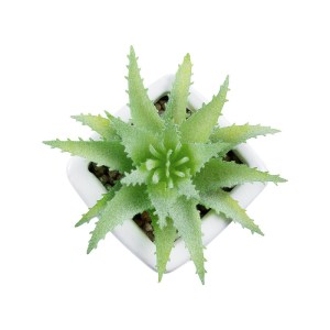 glo-20976-20976_3 GLOBOSTAR® ARTIFICIAL GARDEN SUCCULENT ALOE LOTUS PLANT 20976 ΔΙΑΚΟΣΜΗΤΙΚΟ ΦΥΤΟ ΠΑΧΥΦΥΤΟ Λ