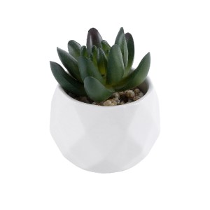 glo-20979-20979_2 GLOBOSTAR® ARTIFICIAL GARDEN SUCCULENT CRASSULA 20979 ΔΙΑΚΟΣΜΗΤΙΚΟ ΦΥΤΟ ΠΑΧΥΦΥΤΟ ΚΡΑΣΟΥΛΑ 