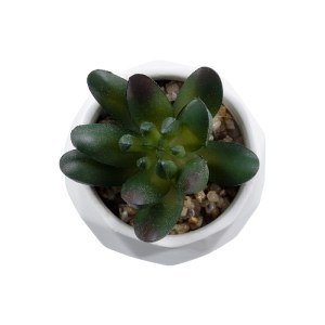 glo-20979-20979_3 GLOBOSTAR® ARTIFICIAL GARDEN SUCCULENT CRASSULA 20979 ΔΙΑΚΟΣΜΗΤΙΚΟ ΦΥΤΟ ΠΑΧΥΦΥΤΟ ΚΡΑΣΟΥΛΑ 