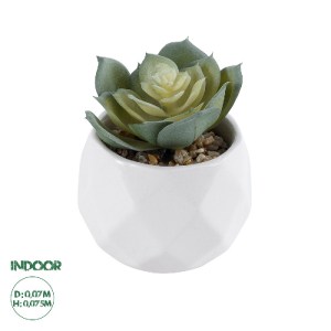 glo-20980-20980_0 GLOBOSTAR® ARTIFICIAL GARDEN SUCCULENT ECHEVERIA 20980 ΔΙΑΚΟΣΜΗΤΙΚΟ ΦΥΤΟ ΠΑΧΥΦΥΤΟ ΕΧΕΒΕΡΙΑ