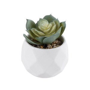 glo-20980-20980_2 GLOBOSTAR® ARTIFICIAL GARDEN SUCCULENT ECHEVERIA 20980 ΔΙΑΚΟΣΜΗΤΙΚΟ ΦΥΤΟ ΠΑΧΥΦΥΤΟ ΕΧΕΒΕΡΙΑ