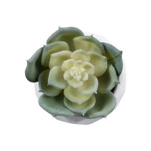 glo-20980-20980_3 GLOBOSTAR® ARTIFICIAL GARDEN SUCCULENT ECHEVERIA 20980 ΔΙΑΚΟΣΜΗΤΙΚΟ ΦΥΤΟ ΠΑΧΥΦΥΤΟ ΕΧΕΒΕΡΙΑ