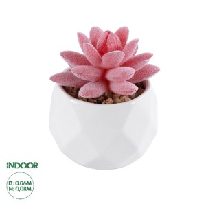 glo-20981-20981_0 GLOBOSTAR® ARTIFICIAL GARDEN SUCCULENT SEDEVERIA 20981 ΔΙΑΚΟΣΜΗΤΙΚΟ ΦΥΤΟ ΠΑΧΥΦΥΤΟ ΣΕΝΤΕΒΕΡ