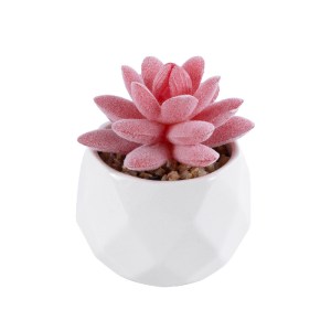 glo-20981-20981_2 GLOBOSTAR® ARTIFICIAL GARDEN SUCCULENT SEDEVERIA 20981 ΔΙΑΚΟΣΜΗΤΙΚΟ ΦΥΤΟ ΠΑΧΥΦΥΤΟ ΣΕΝΤΕΒΕΡ