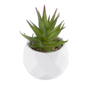 glo-20982-20982_2 GLOBOSTAR® ARTIFICIAL GARDEN SUCCULENT ALOE 20982 ΔΙΑΚΟΣΜΗΤΙΚΟ ΦΥΤΟ ΠΑΧΥΦΥΤΟ ΑΛΟΗ Υ11CM