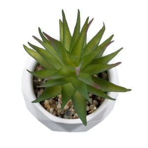 glo-20982-20982_3 GLOBOSTAR® ARTIFICIAL GARDEN SUCCULENT ALOE 20982 ΔΙΑΚΟΣΜΗΤΙΚΟ ΦΥΤΟ ΠΑΧΥΦΥΤΟ ΑΛΟΗ Υ11CM