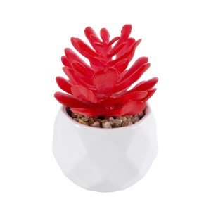 glo-20985-20985_2 GLOBOSTAR® ARTIFICIAL GARDEN SUCCULENT CRASSULA 20985 ΔΙΑΚΟΣΜΗΤΙΚΟ ΦΥΤΟ ΠΑΧΥΦΥΤΟ ΚΡΑΣΟΥΛΑ 