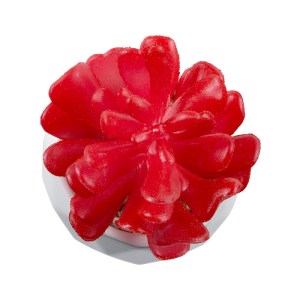 glo-20985-20985_3 GLOBOSTAR® ARTIFICIAL GARDEN SUCCULENT CRASSULA 20985 ΔΙΑΚΟΣΜΗΤΙΚΟ ΦΥΤΟ ΠΑΧΥΦΥΤΟ ΚΡΑΣΟΥΛΑ 