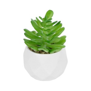 glo-20986-20986_2 GLOBOSTAR® ARTIFICIAL GARDEN SUCCULENT CRASSULA POTTED PLANT 20986 ΔΙΑΚΟΣΜΗΤΙΚΟ ΦΥΤΟ ΚΡΑΣΟ