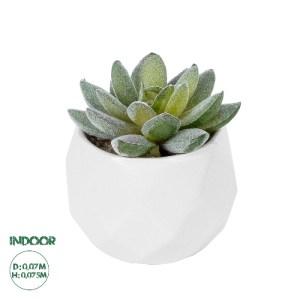 glo-20987-20987_0 GLOBOSTAR® ARTIFICIAL GARDEN SUCCULENT SEDEVERIA POTTED PLANT 20987 ΔΙΑΚΟΣΜΗΤΙΚΟ ΦΥΤΟ ΣΕΔΕ