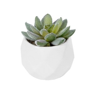 glo-20987-20987_2 GLOBOSTAR® ARTIFICIAL GARDEN SUCCULENT SEDEVERIA POTTED PLANT 20987 ΔΙΑΚΟΣΜΗΤΙΚΟ ΦΥΤΟ ΣΕΔΕ